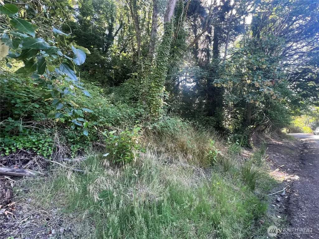 0 Allen Drive Kelso WA 98626