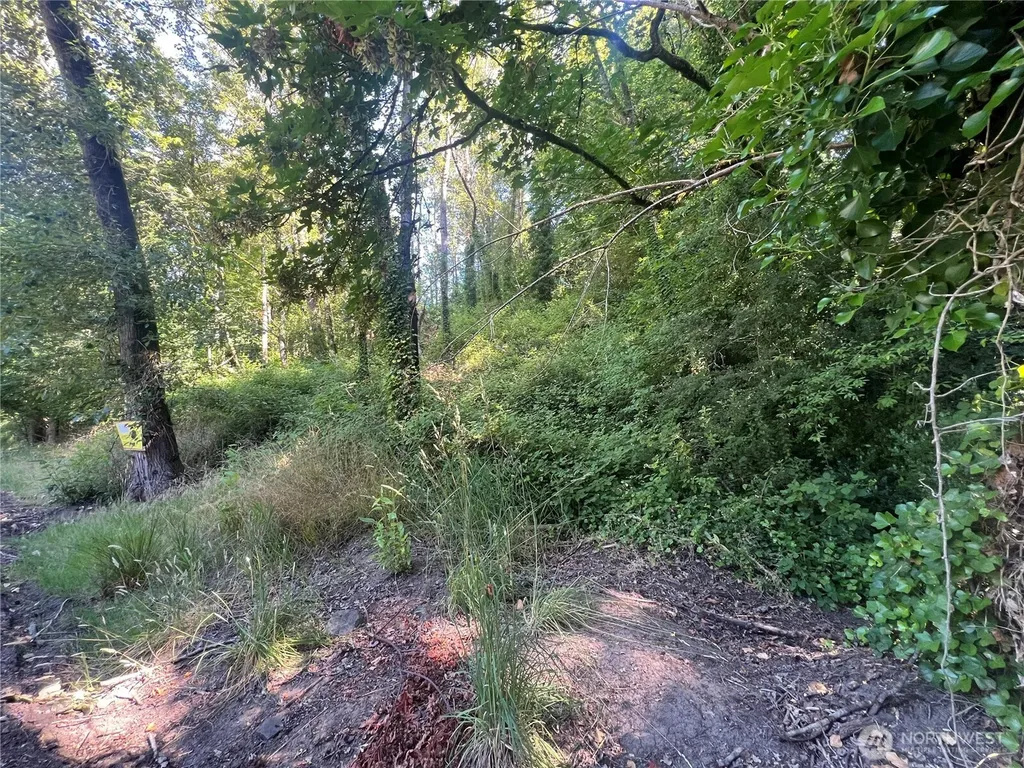 0 Allen Drive Kelso WA 98626