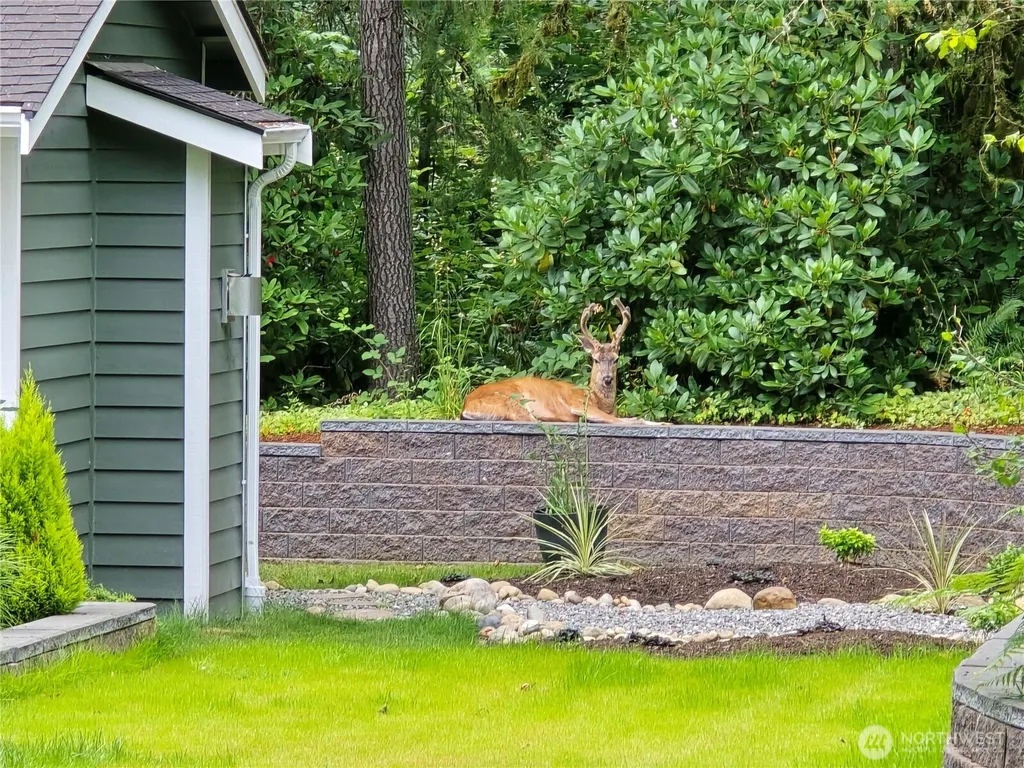 31207 W Lake Morton Drive SE Kent WA 98042