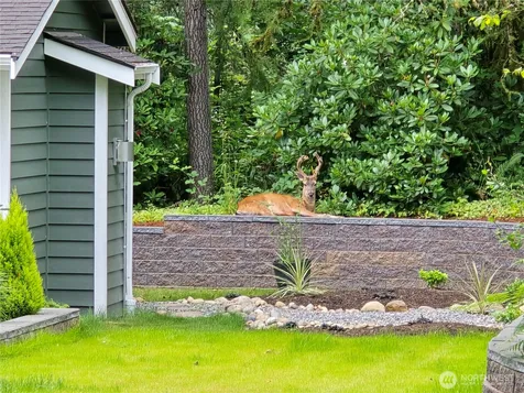 31207 W Lake Morton Drive SE Kent WA 98042