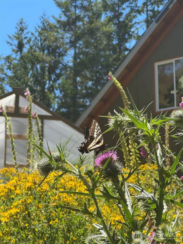 151 E Skyview Drive Union WA 98592