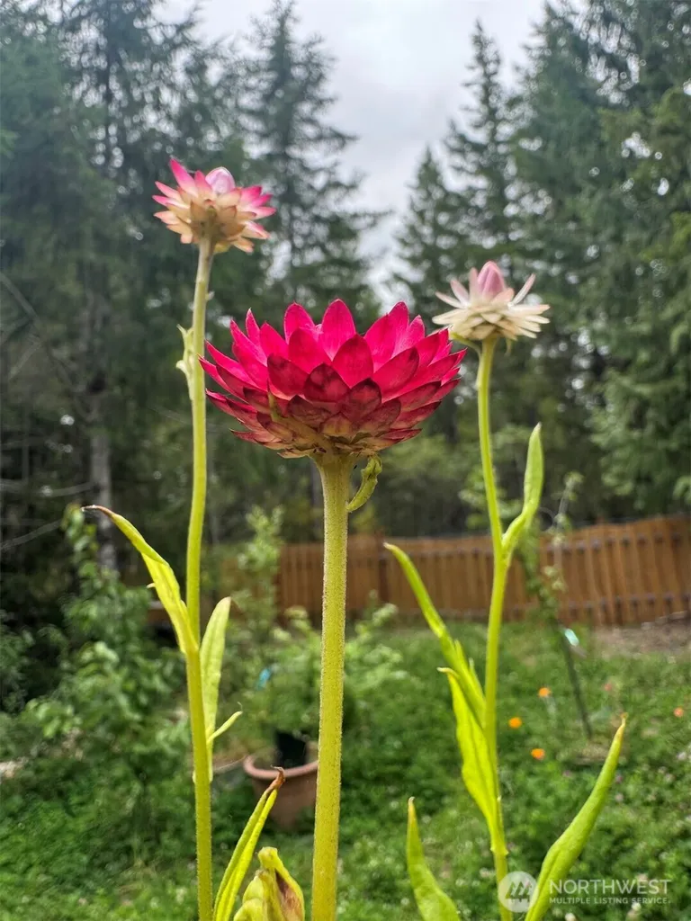 151 E Skyview Drive Union WA 98592