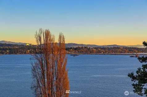 4105 55th Avenue NE Seattle WA 98105