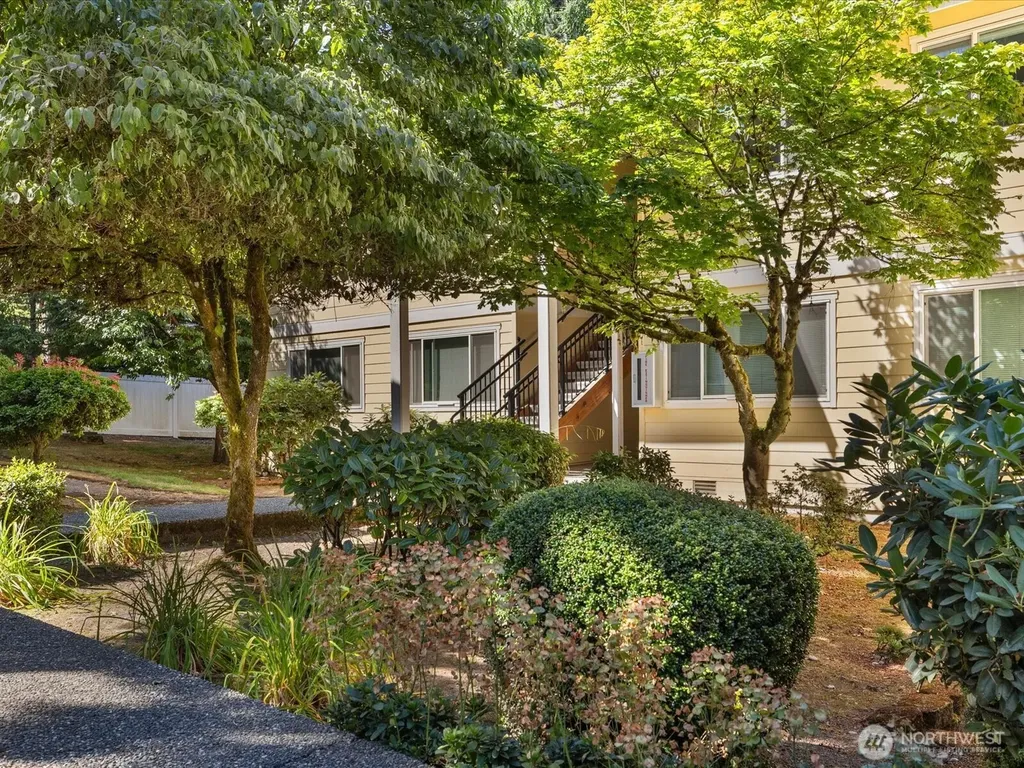 14601 NE 50th Place Bellevue WA 98007