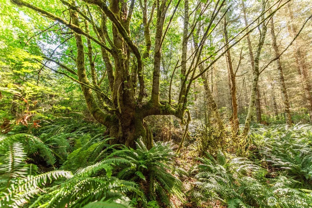 1833 Eaglemount Road Port Townsend WA 98368