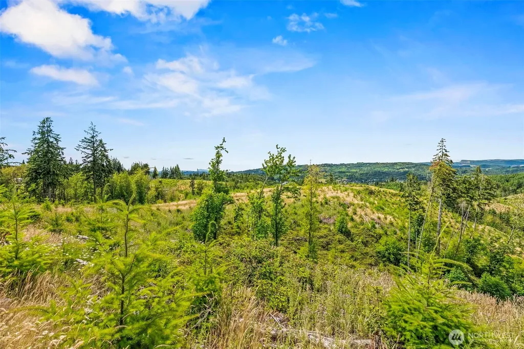 0 Holcomb Road Kelso WA 98626