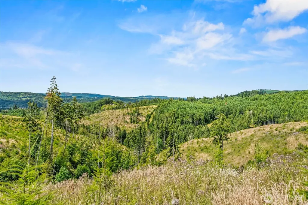 0 Holcomb Road Kelso WA 98626