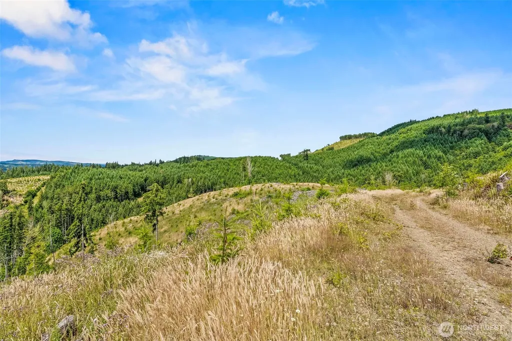 0 Holcomb Road Kelso WA 98632