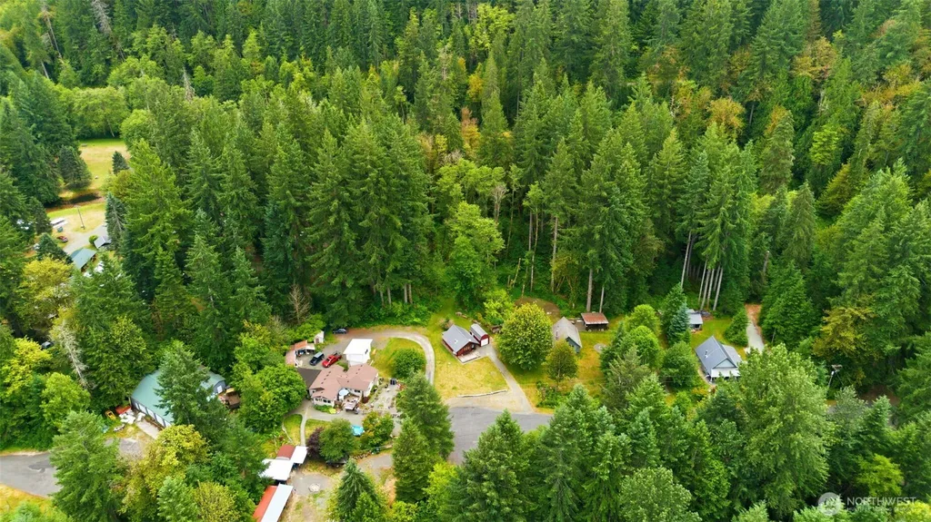 132 Firwood Drive S Randle WA 98377