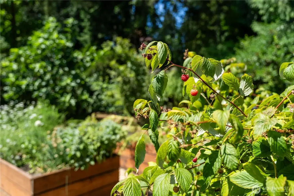 1127 204th Place SE Bothell WA 98012