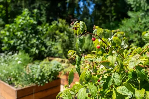 1127 204th Place SE Bothell WA 98012