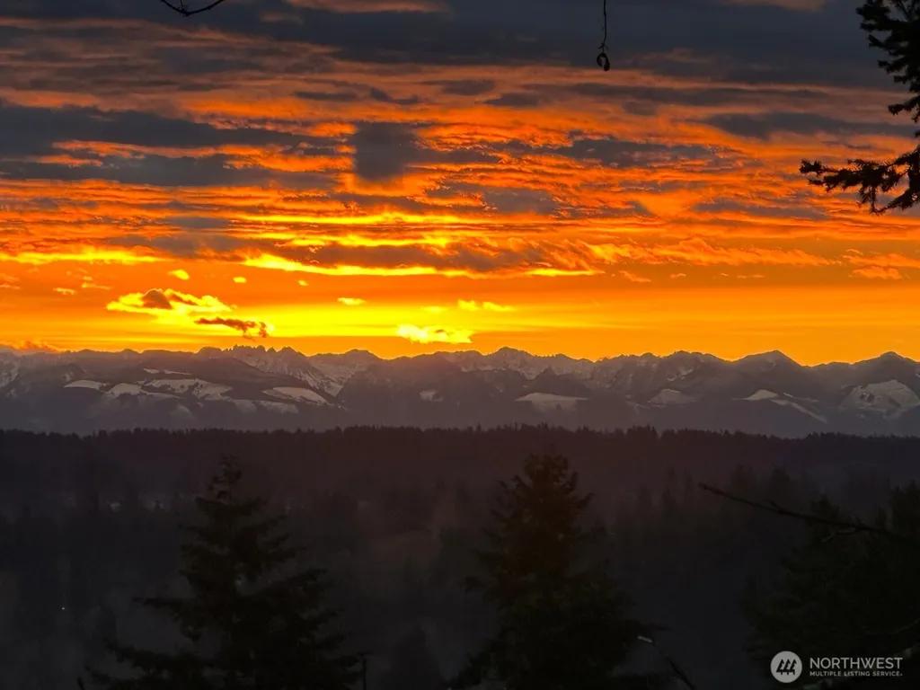 22303 1st Drive SE Bothell WA 98021