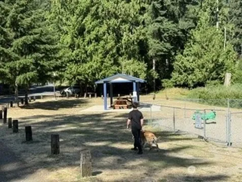 1723 193rd Avenue Ct SW Lakebay WA 98349