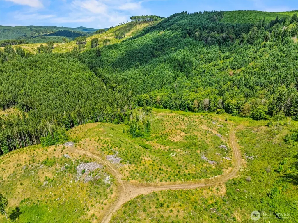 0 Holcomb Road Kelso WA 98626