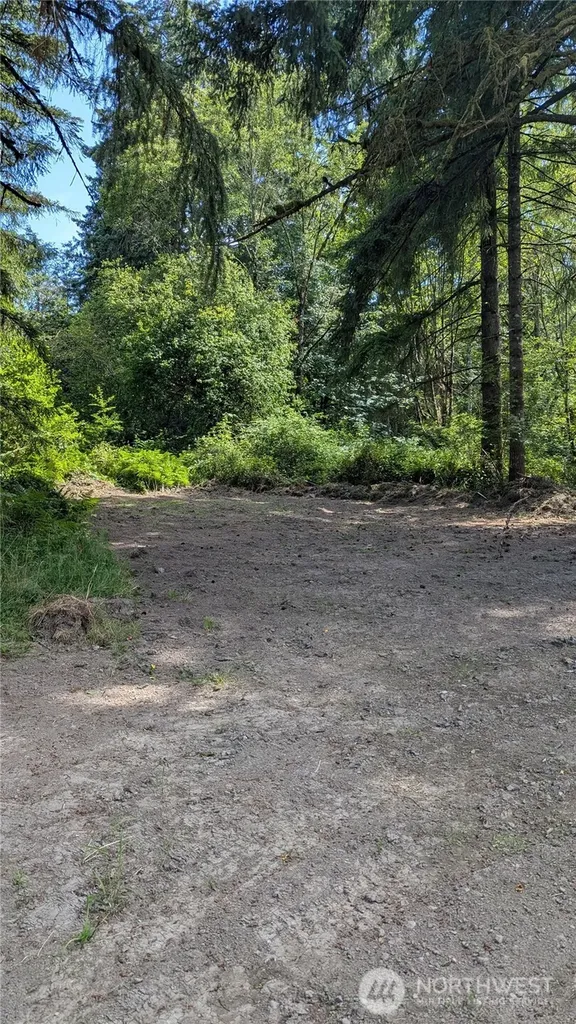 196 Jensen Road Onalaska WA 98570