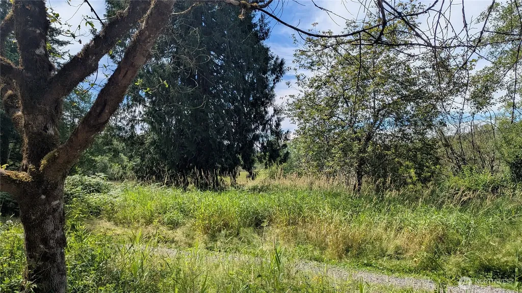 196 Jensen Road Onalaska WA 98570