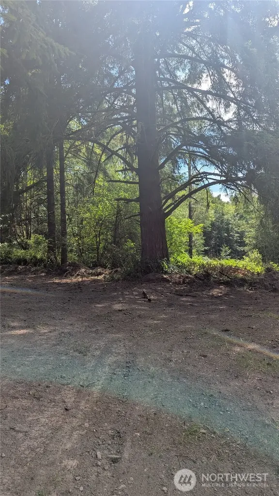196 Jensen Road Onalaska WA 98570