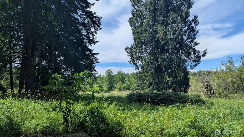 196 Jensen Road Onalaska WA 98570