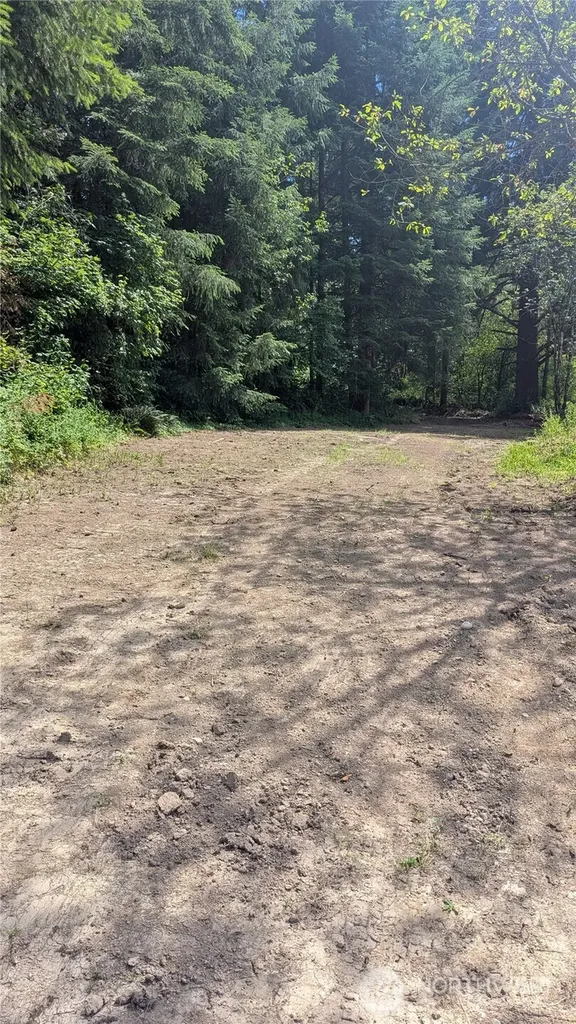 196 Jensen Road Onalaska WA 98570