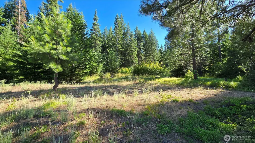 3 -Lots Westside Road Cle Elum WA 98922