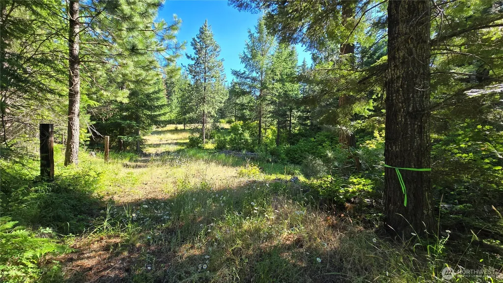3 -Lots Westside Road Cle Elum WA 98922