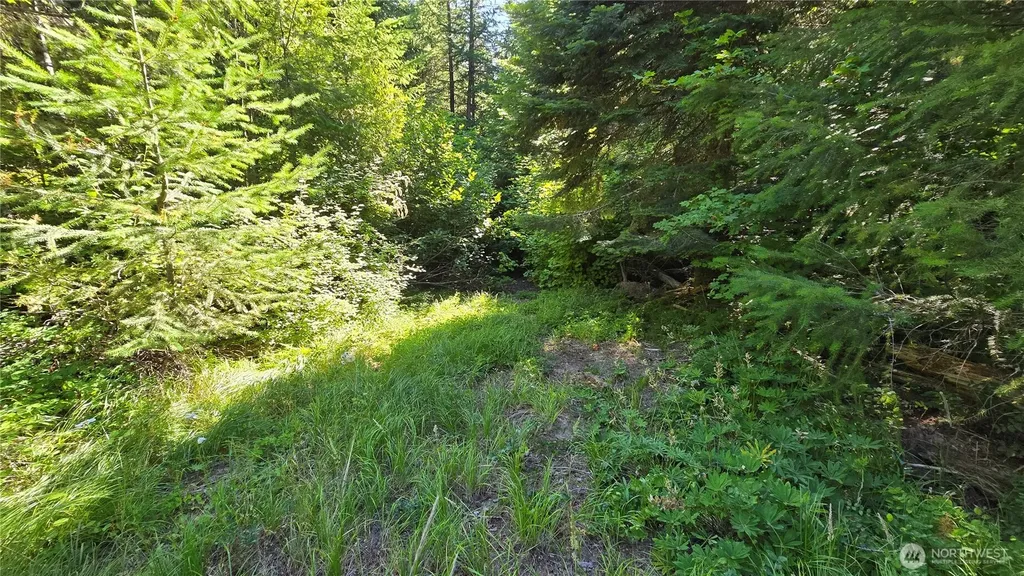 3 -Lots Westside Road Cle Elum WA 98922