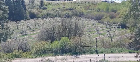 8010 Green Road Peshastin WA 98847