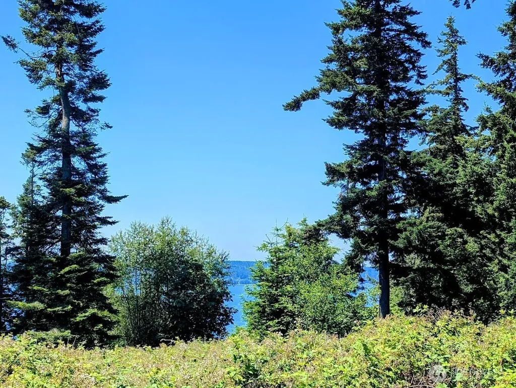 4400 S Camano Drive Camano Island WA 98282