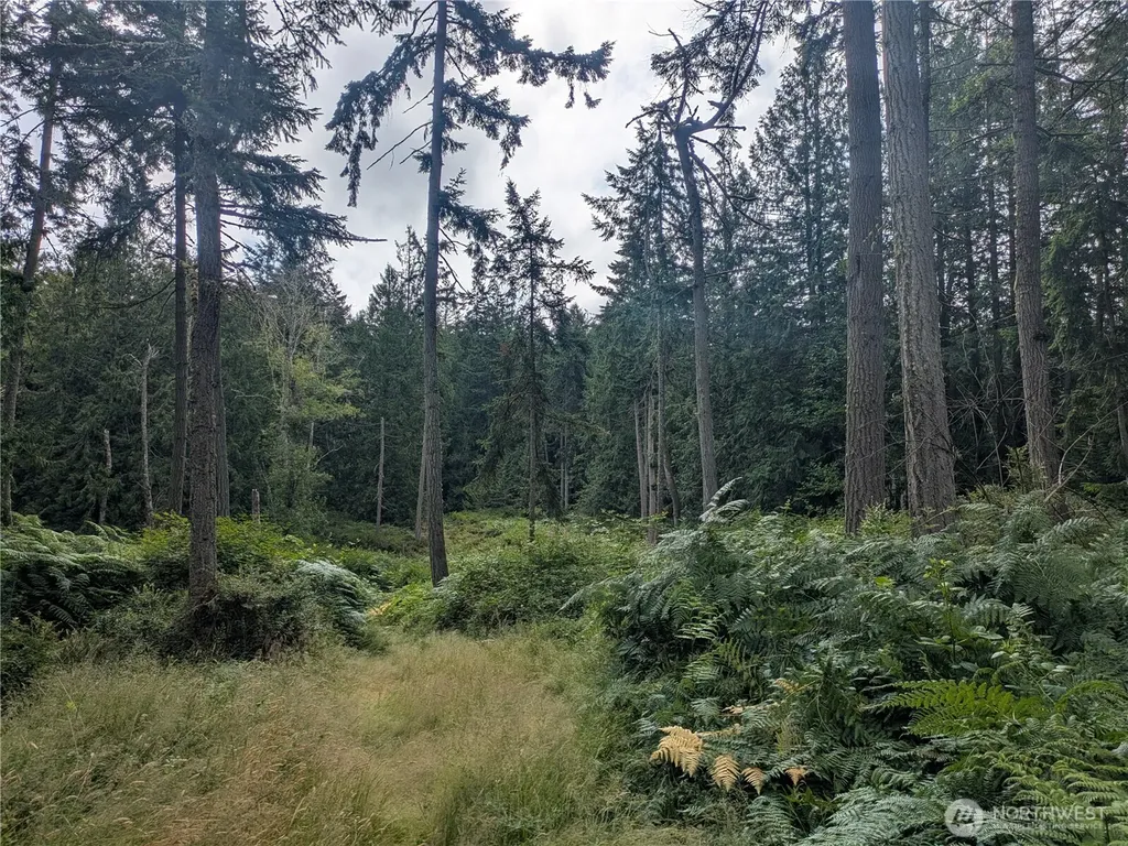 0 Maxwelton Road Langley WA 98260
