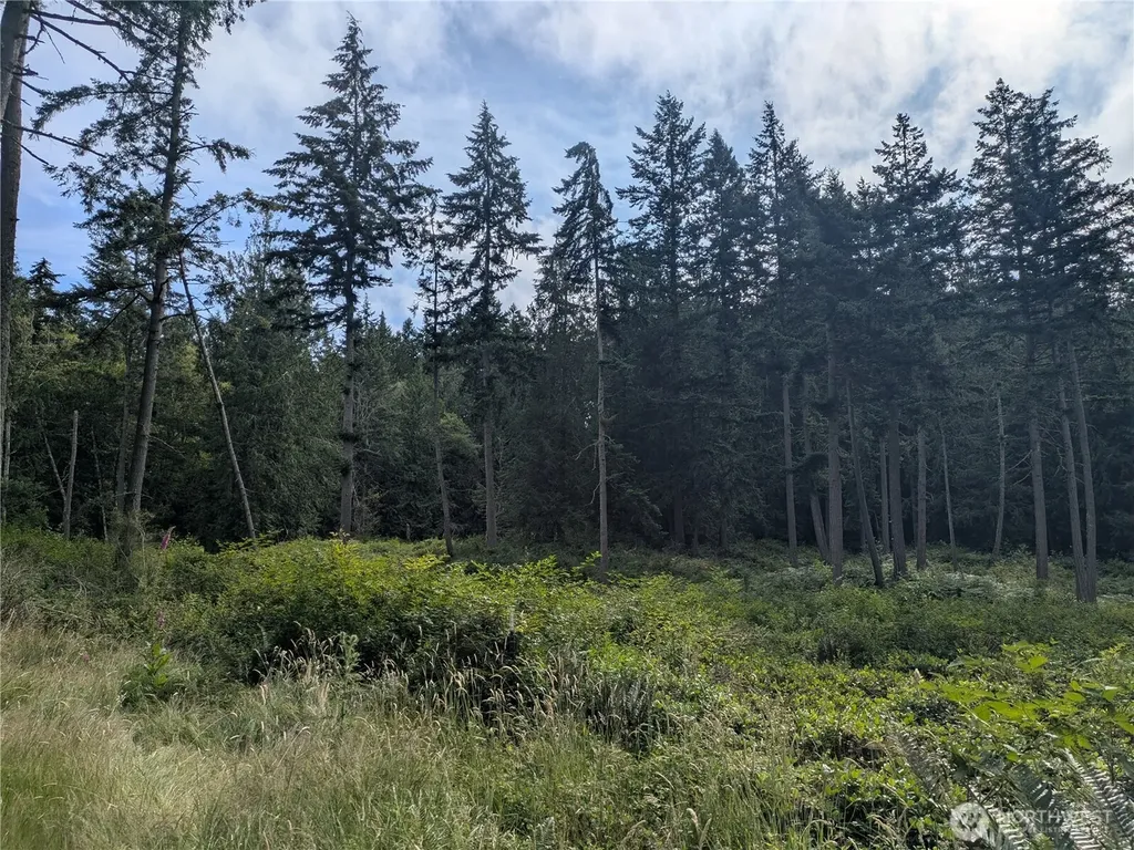 0 Maxwelton Road Langley WA 98260