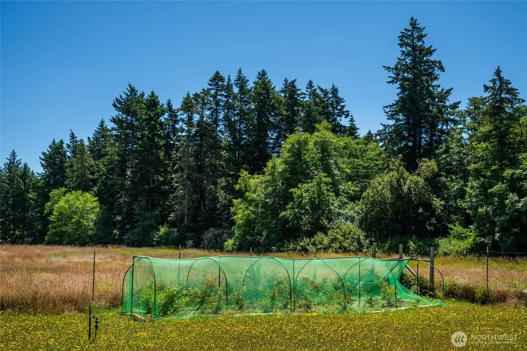 866 Cherry Tree Lane Lopez Island WA 98261