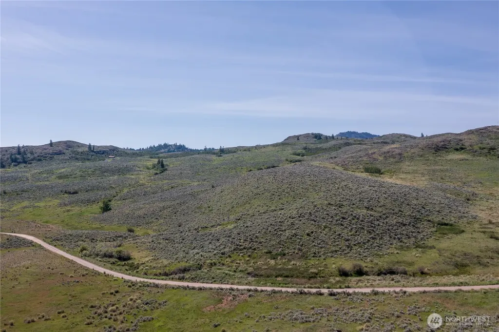 0 Ellemeham Mountain Road Oroville WA 98844