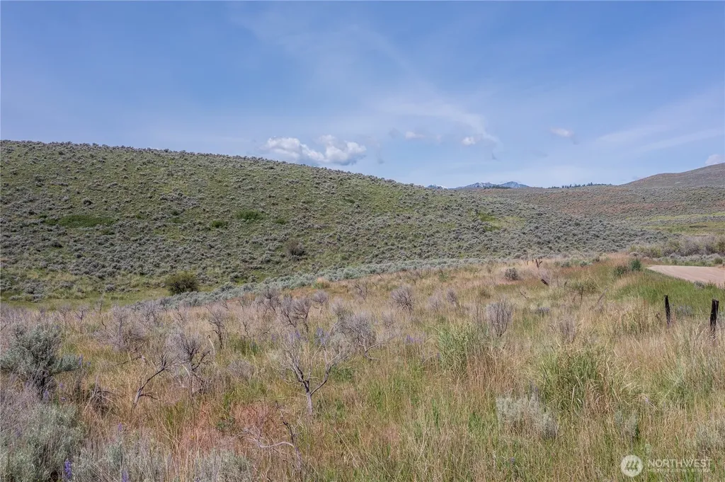0 Ellemeham Mountain Road Oroville WA 98844