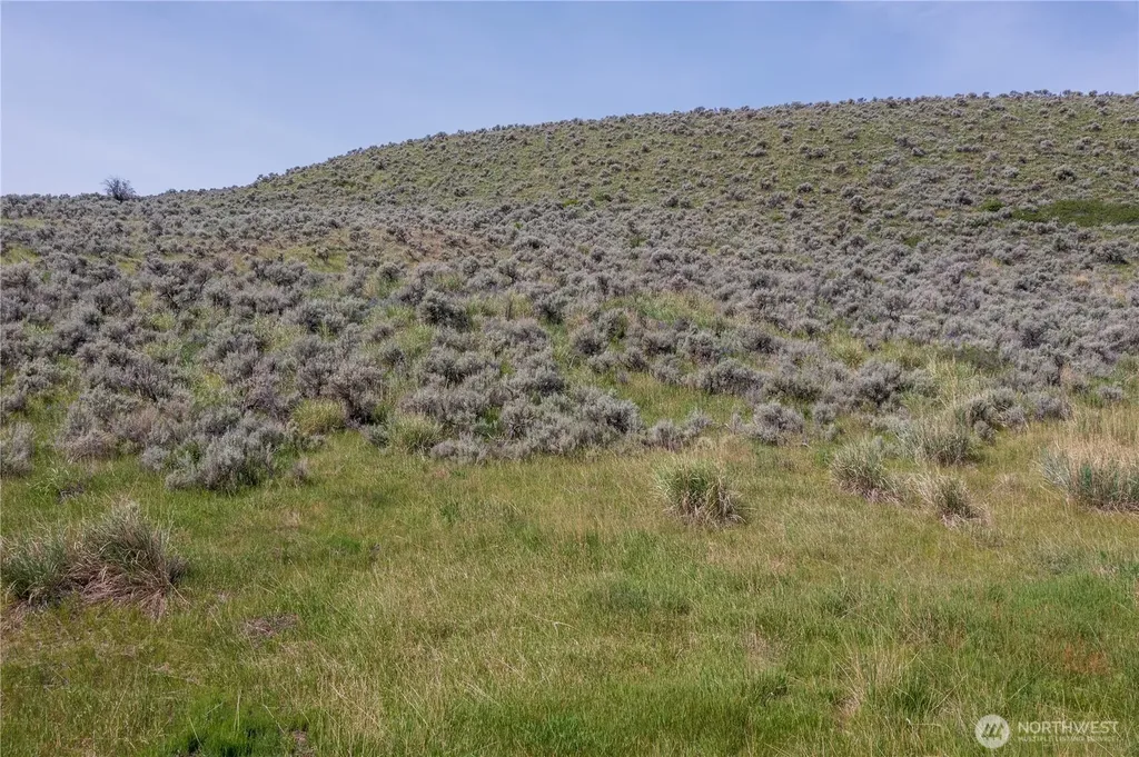 0 Ellemeham Mountain Road Oroville WA 98844