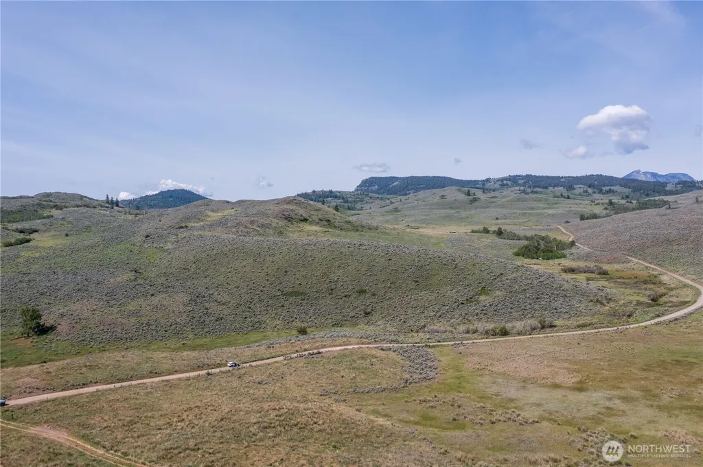 0 Ellemeham Mountain Road Oroville WA 98844