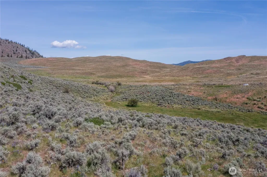 0 Ellemeham Mountain Road Oroville WA 98844