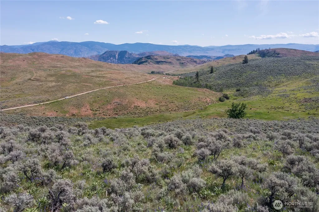 0 Ellemeham Mountain Road Oroville WA 98844