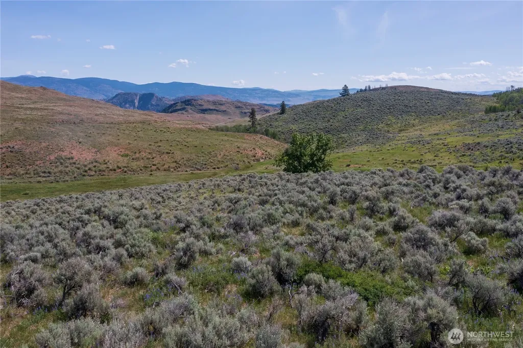 0 Ellemeham Mountain Road Oroville WA 98844