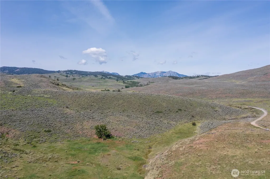 0 Ellemeham Mountain Road Oroville WA 98844
