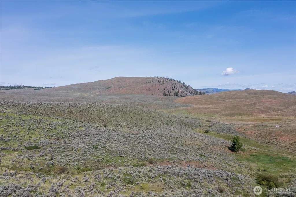 0 Ellemeham Mountain Road Oroville WA 98844
