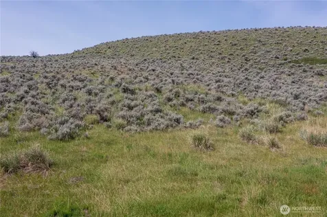 0 Ellemeham Mountain Road Oroville WA 98844