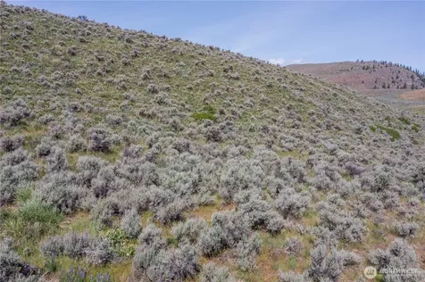 0 Ellemeham Mountain Road Oroville WA 98844
