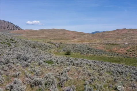 0 Ellemeham Mountain Road Oroville WA 98844