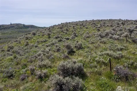 0 Ellemeham Mountain Road Oroville WA 98844