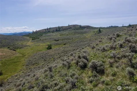 0 Ellemeham Mountain Road Oroville WA 98844