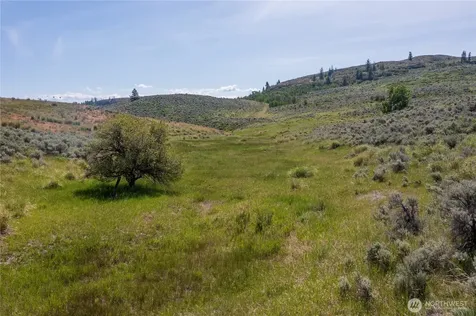 0 Ellemeham Mountain Road Oroville WA 98844