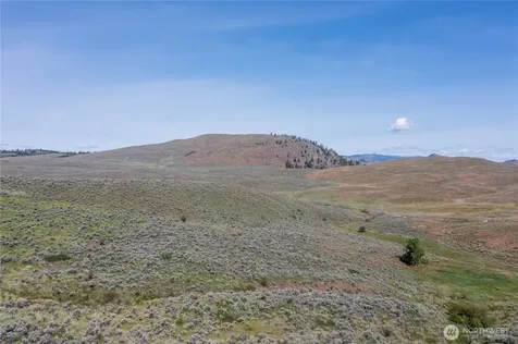 0 Ellemeham Mountain Road Oroville WA 98844