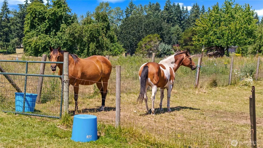 12717 Zeller Road SE Yelm WA 98597