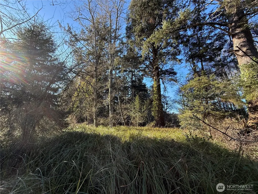 27399 Sandridge Road Ocean Park WA 98640