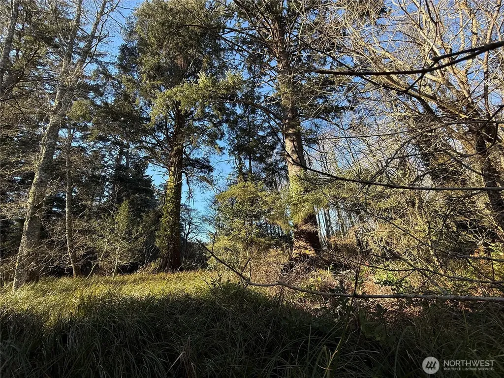 27399 Sandridge Road Ocean Park WA 98640